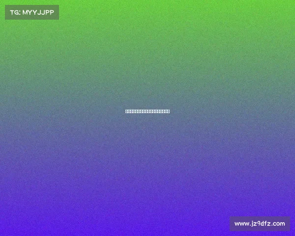 荷乙赛制调整新规详解赛季更新变化一览